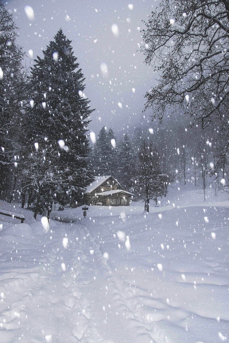 Equipo de Viajes en Oferta en oficina