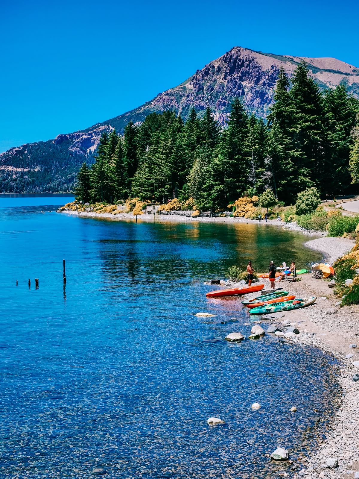 Equipo de Viajes en Oferta en oficina